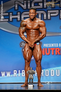 Bodybuilding - Open Super Heavyweight